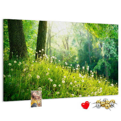 Korktafel grüner Wald mit blühenden Löwenzahnblüten
