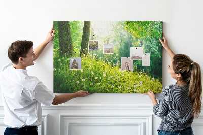 Korktafel grüner Wald mit blühenden Löwenzahnblüten