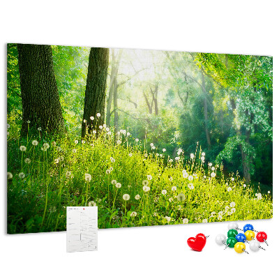 Korktafel grüner Wald mit blühenden Löwenzahnblüten