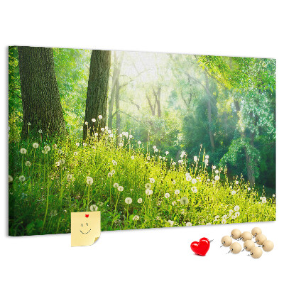 Korktafel grüner Wald mit blühenden Löwenzahnblüten