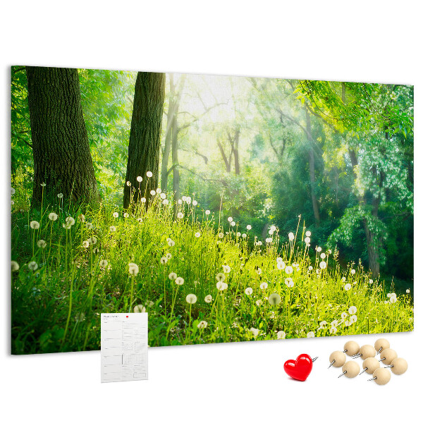 Korktafel grüner Wald mit blühenden Löwenzahnblüten