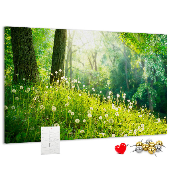 Korktafel grüner Wald mit blühenden Löwenzahnblüten