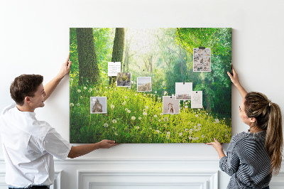 Korktafel grüner Wald mit blühenden Löwenzahnblüten