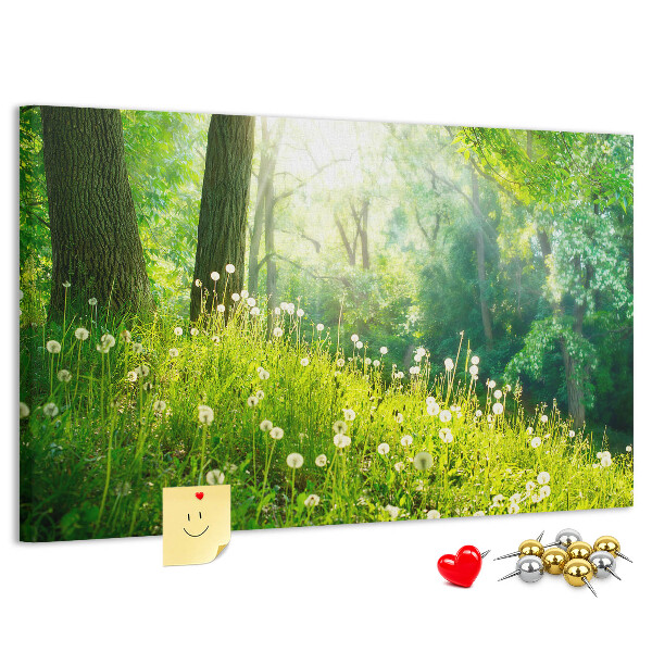 Korktafel grüner Wald mit blühenden Löwenzahnblüten