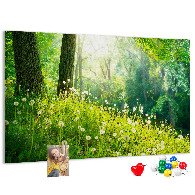 Korktafel grüner Wald mit blühenden Löwenzahnblüten