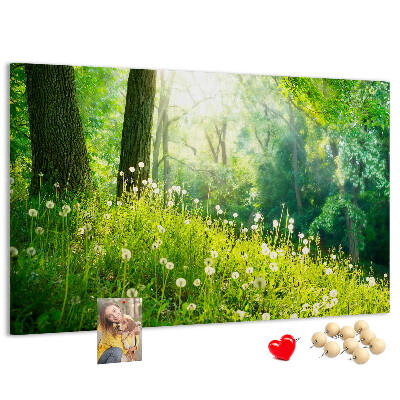 Korktafel grüner Wald mit blühenden Löwenzahnblüten