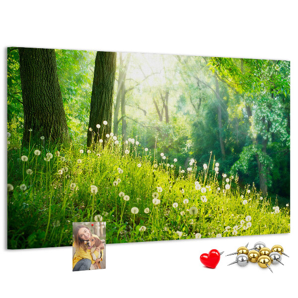 Korktafel grüner Wald mit blühenden Löwenzahnblüten