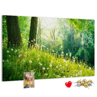 Korktafel grüner Wald mit blühenden Löwenzahnblüten