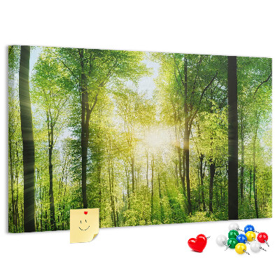Bild mit Korkrückwand Grüner Wald mit Sonnenstrahlen