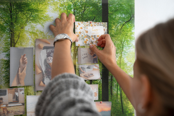 Bild mit Korkrückwand Grüner Wald mit Sonnenstrahlen