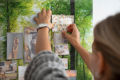Bild mit Korkrückwand Grüner Wald mit Sonnenstrahlen
