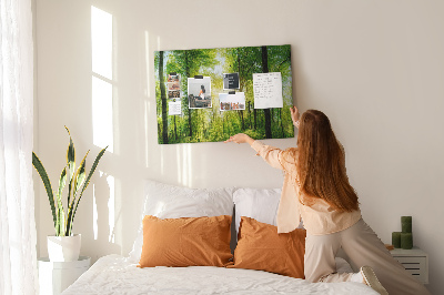 Bild mit Korkrückwand Grüner Wald mit Sonnenstrahlen