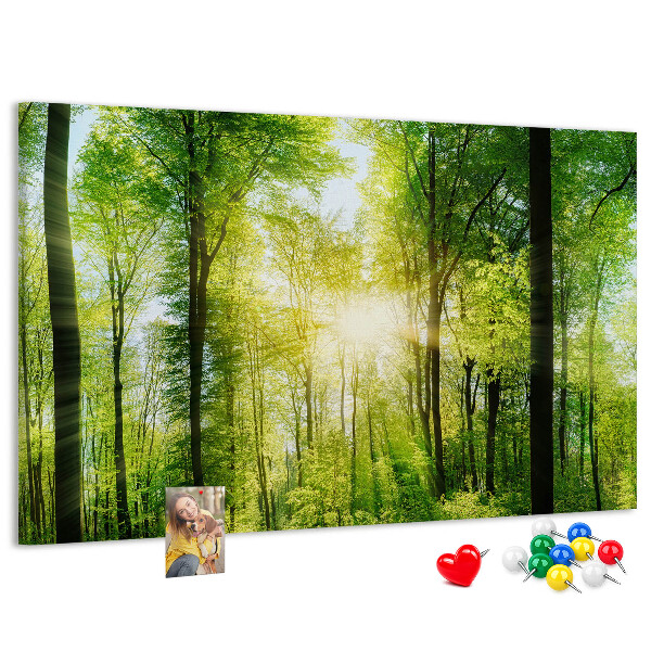 Bild mit Korkrückwand Grüner Wald mit Sonnenstrahlen