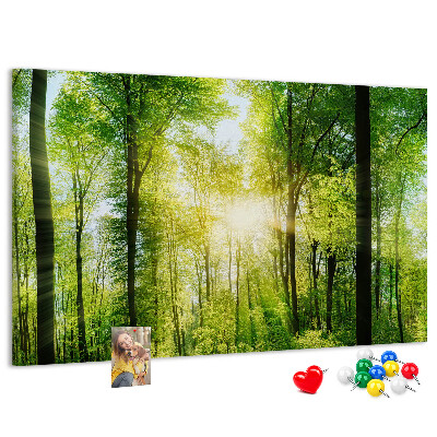 Bild mit Korkrückwand Grüner Wald mit Sonnenstrahlen
