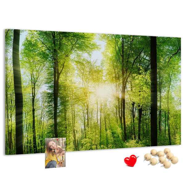 Bild mit Korkrückwand Grüner Wald mit Sonnenstrahlen
