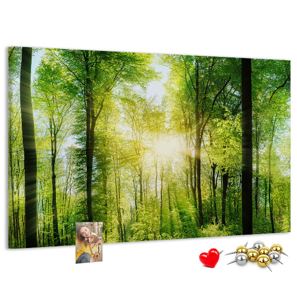 Bild mit Korkrückwand Grüner Wald mit Sonnenstrahlen