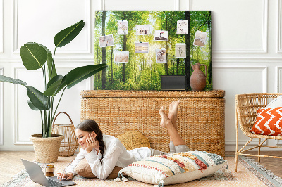 Bild mit Korkrückwand Grüner Wald mit Sonnenstrahlen