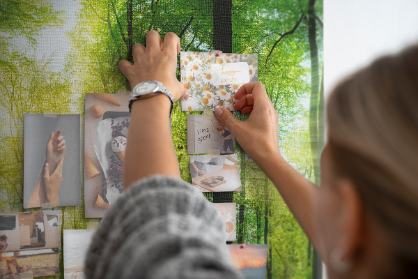 Bild mit Korkrückwand Grüner Wald mit Sonnenstrahlen