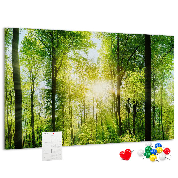 Bild mit Korkrückwand Grüner Wald mit Sonnenstrahlen