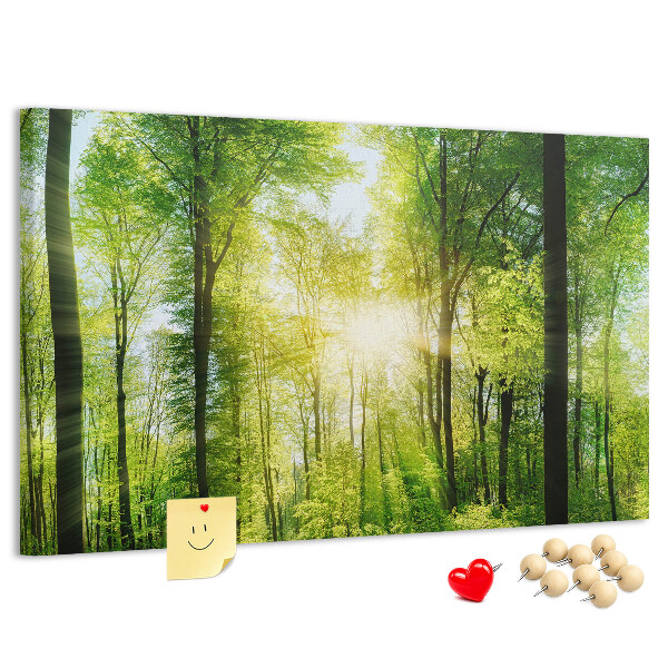 Bild mit Korkrückwand Grüner Wald mit Sonnenstrahlen