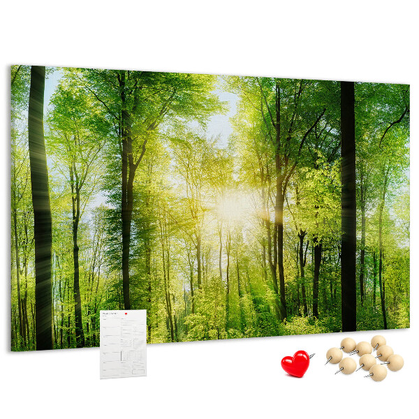 Bild mit Korkrückwand Grüner Wald mit Sonnenstrahlen