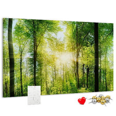 Bild mit Korkrückwand Grüner Wald mit Sonnenstrahlen
