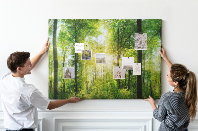 Bild mit Korkrückwand Grüner Wald mit Sonnenstrahlen