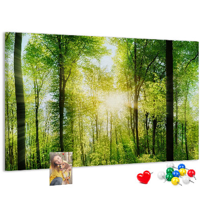 Bild mit Korkrückwand Grüner Wald mit Sonnenstrahlen