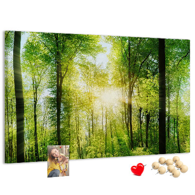 Bild mit Korkrückwand Grüner Wald mit Sonnenstrahlen