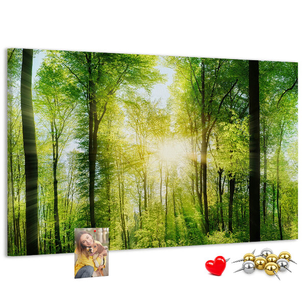 Bild mit Korkrückwand Grüner Wald mit Sonnenstrahlen