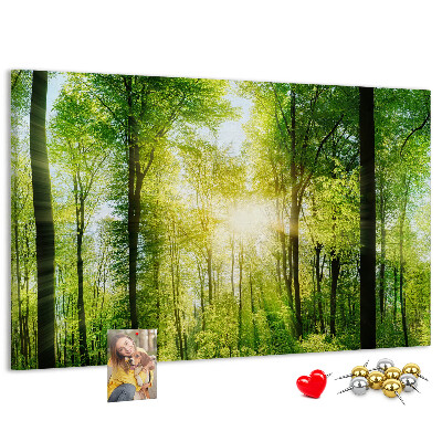 Bild mit Korkrückwand Grüner Wald mit Sonnenstrahlen