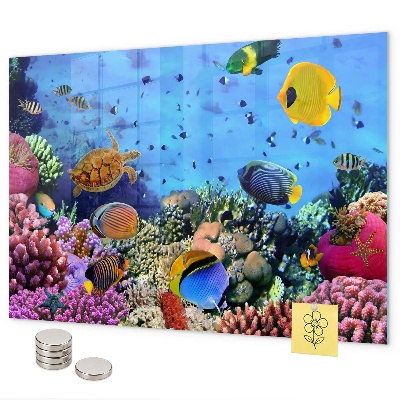 Magnettafel mit Motiv Unterwasserleben