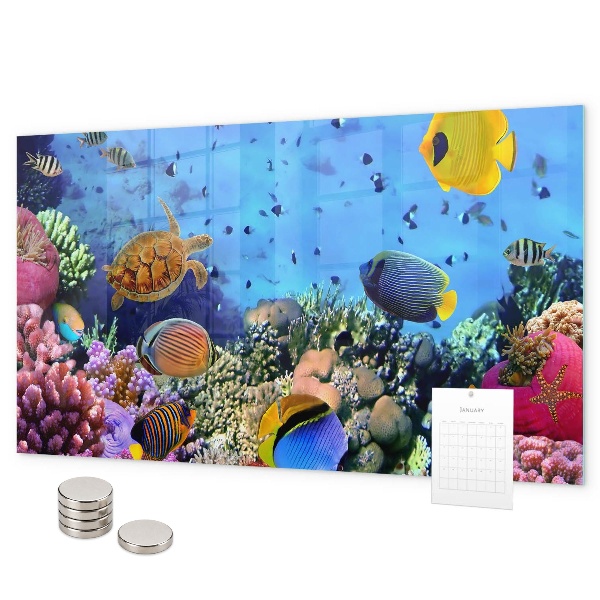 Magnettafel Unterwasserleben