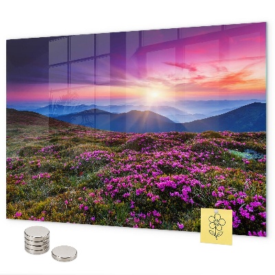 Magnettafel Sunrise Flowers