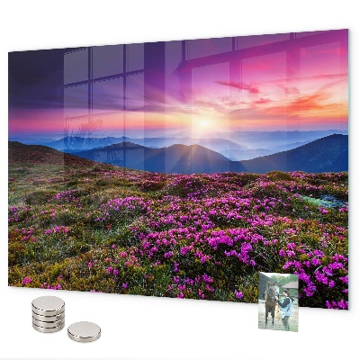 Magnettafel Sunrise Flowers