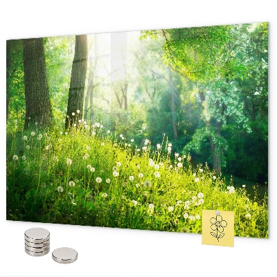 Magnetwand Frühlingsnatur