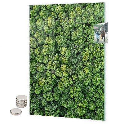 Glas magnettafel Basilikum