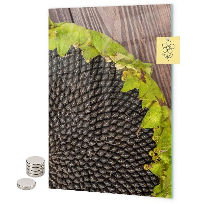 Magnetbild Sonnenblumenkerne