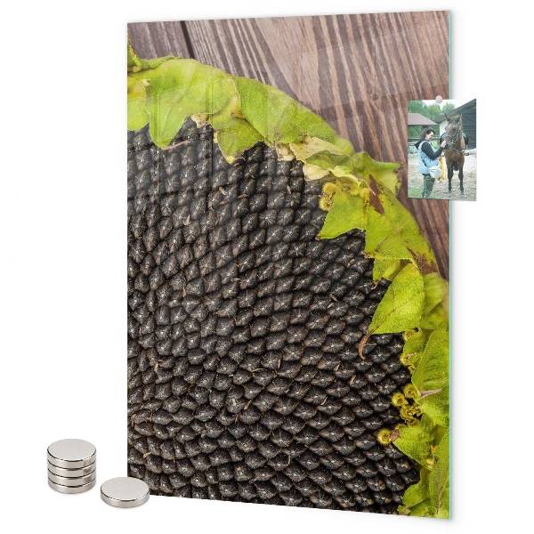 Magnetbild Sonnenblumenkerne