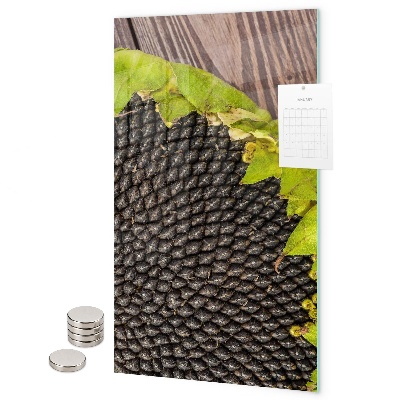 Magnetbild Sonnenblumenkerne