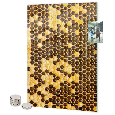 Magnetbild Bienenwabe