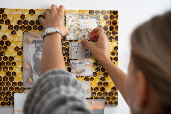 Magnetwand Bienenwabe