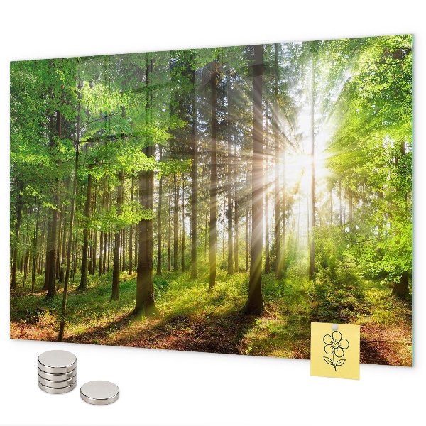 Magnettafel Sonnenaufgang im Wald