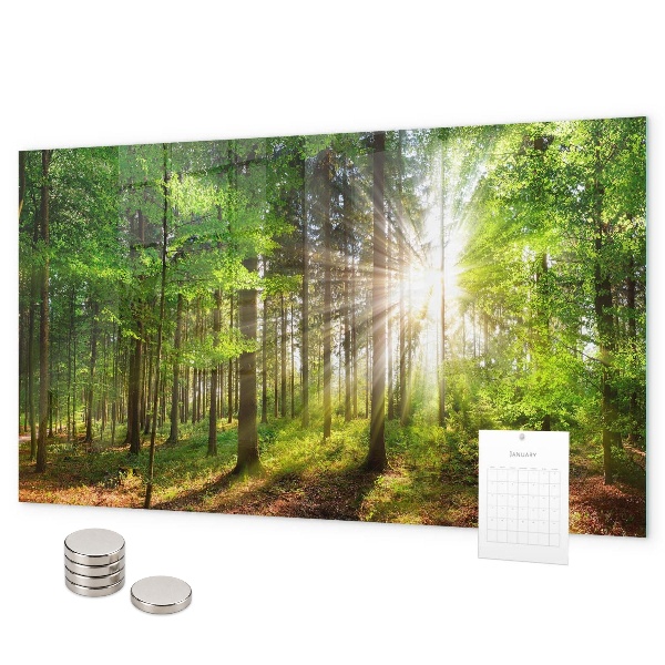 Magnettafel Sonnenaufgang im Wald