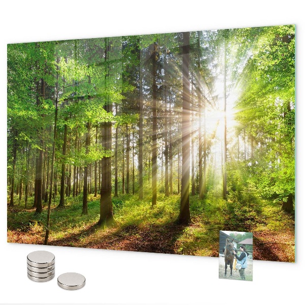 Magnettafel Sonnenaufgang im Wald
