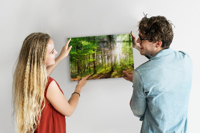 Magnettafel Sonnenaufgang im Wald