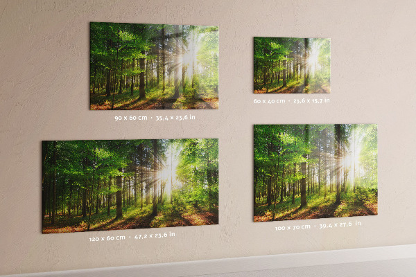 Magnettafel Sonnenaufgang im Wald
