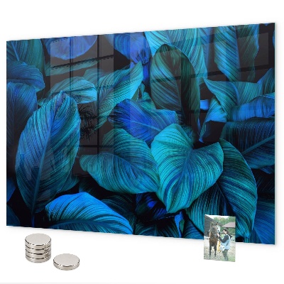 Magnettafel Tropische Natur