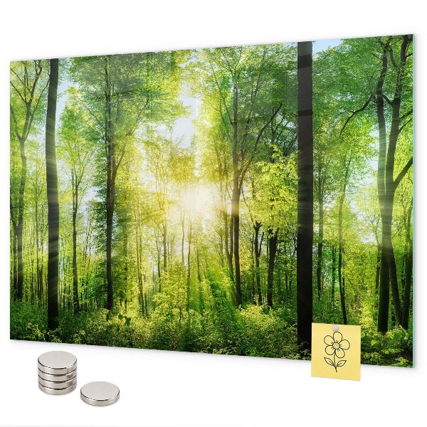 Magnetwand Die Bäume des Naturwaldes