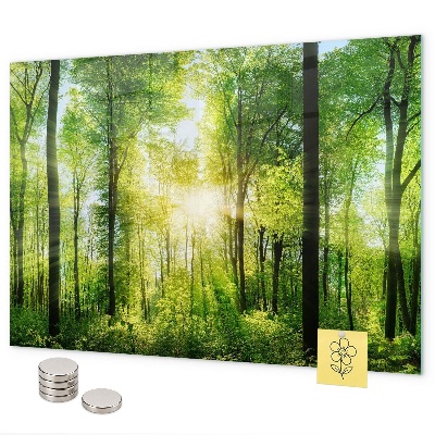 Magnetwand Die Bäume des Naturwaldes